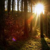 Simon B - autumn chill - wandsworthradio.com 10 Oct 2015