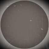 Sime - 2011 - 04