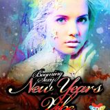 2013-01-01 booming sexy newyears 1.1.2013 live set from chillroom crazyland back to back dj johan d