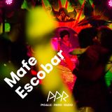 PPR0127 Mafe Escobar - #2