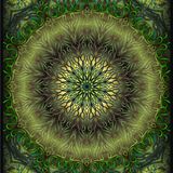 Dream Factory: Peyote Lullaby