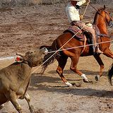 DJ GLEZ Banda/Norteno mix