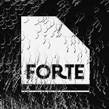 Festival Forte 2016 - Irina Sales Grade - Culturama 27.01.2016