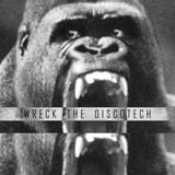 Wreck the Discotech Vol.1