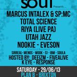 innerSoul Promo Mix 29/06/13