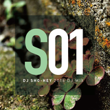 DJ SHO-HEY DJ MIX 2016_01