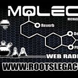 Dub Molecule - Rootslegacy.fr - Dubplate - Dubwise 2.03.2015