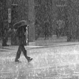 NicholasM - Rainy Day