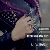 PARTYSMARTIE - NAPALM BITCH EXCLUSIVE MIX #01
