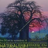 Naturalizum