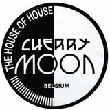 Dj Yves Deruyter @ Cherry Moon 1996 (part 2)