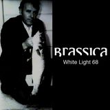 White Light Mix 68