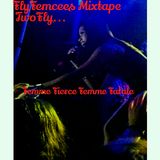 FlyFemcees MashUp Includes ALL FreshFlyGirl Femme Fatale Femcees With SPECTACULAR Vernaculars!!
