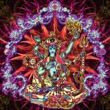 Ninja Swords And Hippi Drug LordZz (Dance To the Trance )