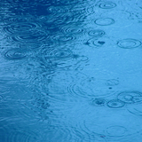 NCN - The Rain Show