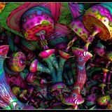 Mushroom Resistance (TUDE birthday set march 2013)