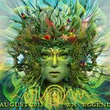 wolle@flow festival 2013
