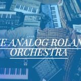 Dunkel Radio Talks To The Analog Roland Orchestra