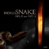 Indigo Snake 010 on MCast May 2014 part 2 guest - Matt G