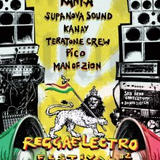 A little Zest of Bass recorded live by Man of Zion at Reggea Electro Festival 2 by Le Citron Vert