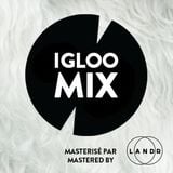Mr.Touré! - Igloofest 2016-01-30