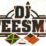 DJ TEESME "Boggle ya classics club bangers"