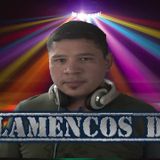 FLAMENCOS DJ- PERREO 3