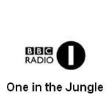 DJ Hype and MC Fats - One In The Jungle - 24.10.1997