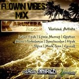 FLOWIN VIBES - KARUKERA RIDDIM MIX