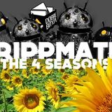 The 4 Seasons