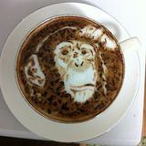Harmony (The procaffeinating experience)