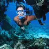 Dive
