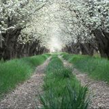 April 2012 Mix