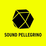 the sound pellegrino podcast - episode 12 (savage skulls minimix)