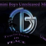 Gemini Boys - TruSelves in Peace