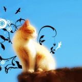 Itty Pitty Putty Tat
