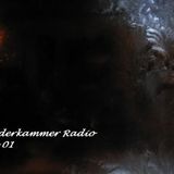The Wunderkammer Radio Program - Episode 01
