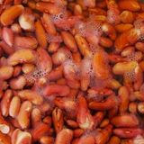 PEAS HAFFI SOAK FROM SATDAY NIGHT.....