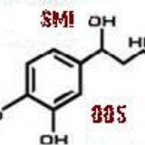 S.M.I. Adrenalin Soundsystem 005