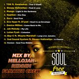 Soul Free Riddim Mix By MELLOJAH RIDDIM FANATIC CREW