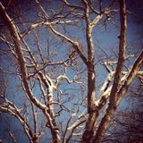 Mannie's Winter 2012 Mix