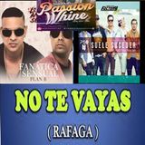 Mix no te vayas - rafaga ,Fanatica sensual (cumbia y regueton) Dj Elvis Alexander