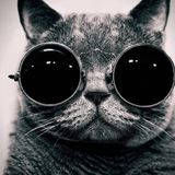 House DJ Set ATB / Armin Van Buren +