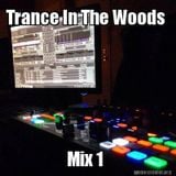 Trance In The Woods Mix 1 (Trance / Progressive Mix)