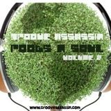 Groove Assassin Roots n Soulful Deep House Mix December 2011