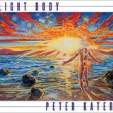The Perfect Remedy feat. Peter Kater