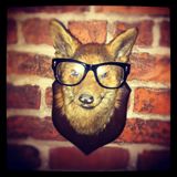 Urban Fox - 31/03/13 - Hour 2