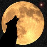 Hey Moon