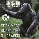 Exclusive Monkey Tennis Collaboration Mix By Seth Vogt, Under This, DJ Peaceful