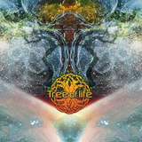 B.e.n. - Tree of Life Festival 2014 Psychill Set - 4h 30m mix